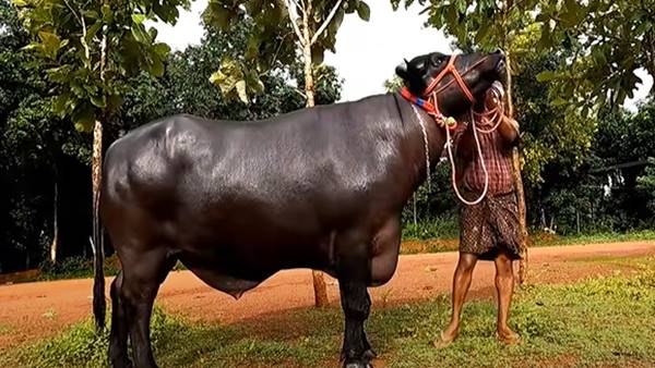 പിറന്നാള്‍ ദിനത്തില്‍