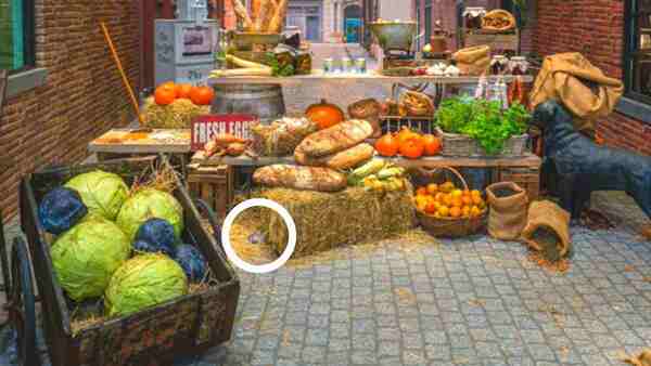 നിങ്ങള്‍ക്ക് മുന്നിലുള്ളത് 10 സെക്കന്‍ഡുകള്‍