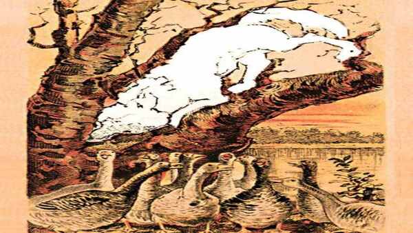 11 സെക്കന്‍ഡില്‍ കണ്ടെത്തണം