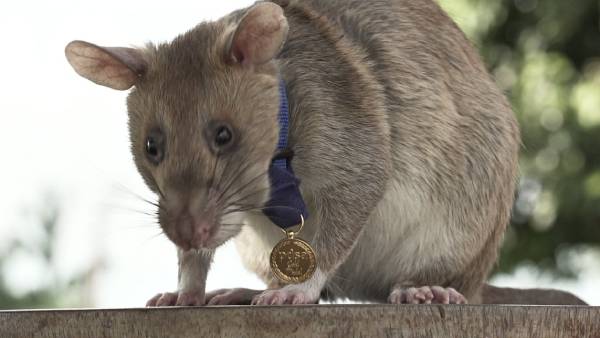 എന്ത് വന്നാലും കണ്ടുപിടിക്കണം