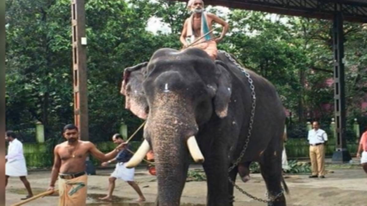 കേശവനും ലക്ഷ്മിക്കുട്ടിക്കുമൊപ്പം