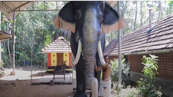 ബാറ്ററിയില്‍ പ്രവര്‍ത്തിക്കുന്ന ആന