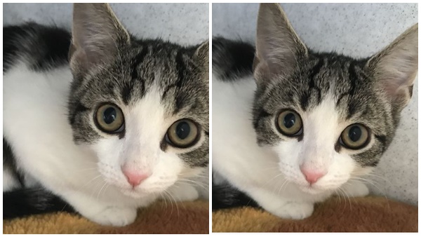 മുറിക്കുള്ളില്‍ ശരിക്ക് പരിശോധിക്കണം