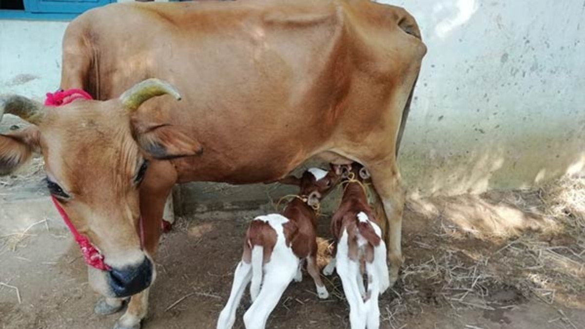 മെഡിക്കല്‍ മാഗസീനുകളില്‍ പറയുന്നത് 