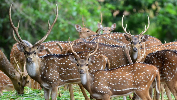ചിത്രമൊന്ന് പരിശോധിക്കണം ചിത്രമൊന്ന് പരിശോധിക്കണം