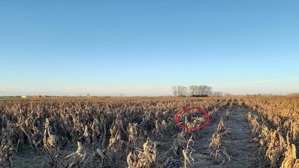 11 സെക്കന്‍ഡുകള്‍ മാത്രം