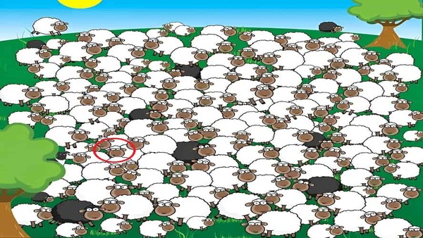 അഞ്ച് സെക്കന്‍ഡില്‍ കണ്ടെത്തണം