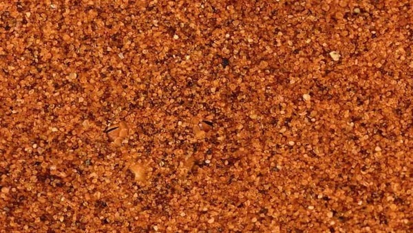 കണ്ണുകള്‍ ഒന്ന് കൂര്‍പ്പിച്ച് നോക്കണം