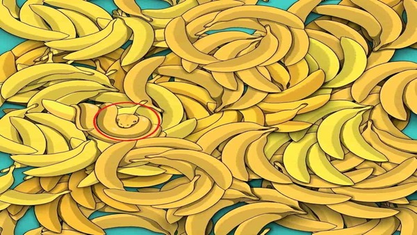 അഞ്ച് സെക്കന്‍ഡുകള്‍ മുന്നിലുണ്ട്