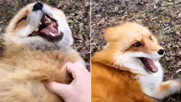 ആരുടെ സഹായവും തേടാം