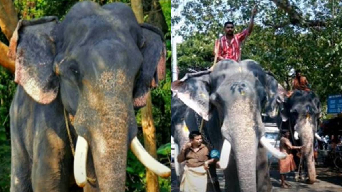 ഗുരുവായൂര്‍ നടക്കിരുത്തി
