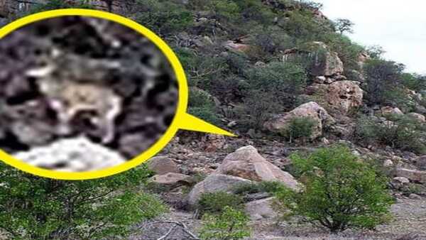 11 സെക്കന്ഡുകള് മുന്നിലുണ്ട് 11 സെക്കന്ഡുകള് മുന്നിലുണ്ട്