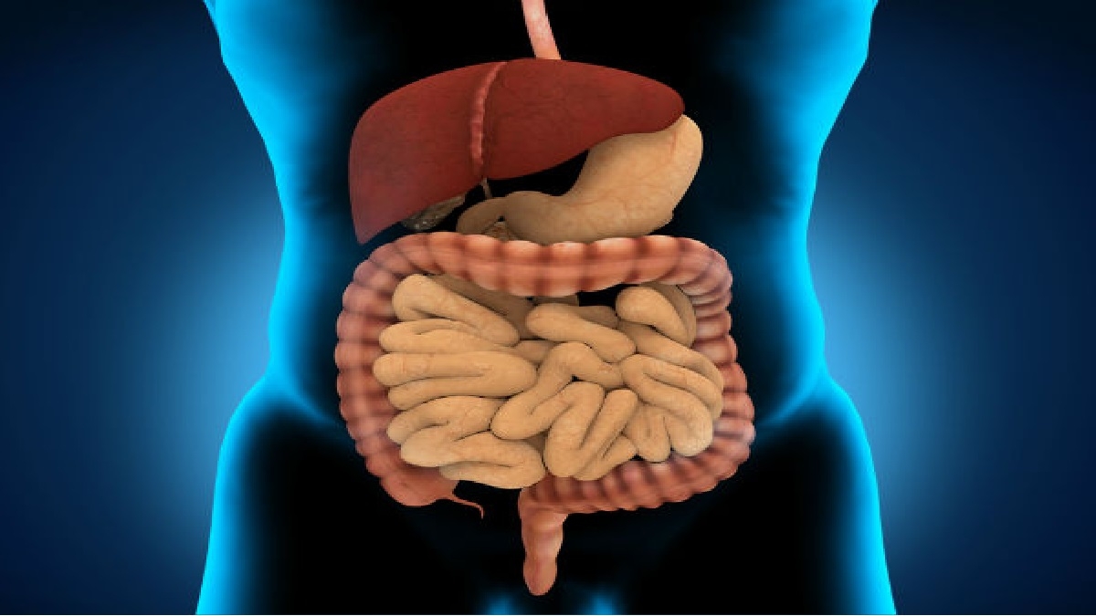 വയറുവേദന സഹിക്കാൻ പറ്റിയില്ല..