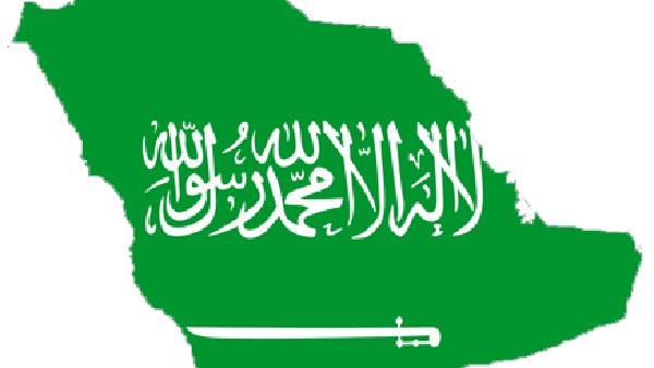 'റിയാദ് എയർ' 2030 ഓടെ 