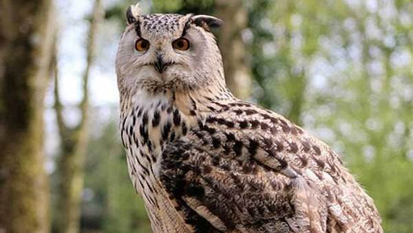 അങ്ങനെ നോക്കിയാല്‍ ഒന്നും കാണില്ല