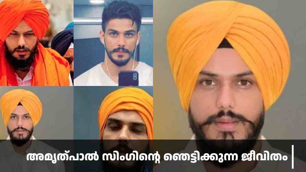 amritpal amritpal
