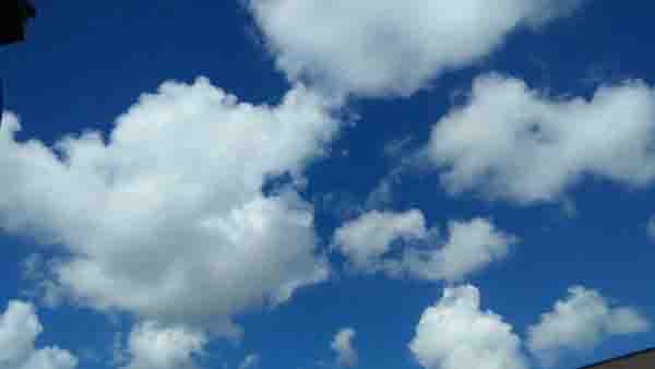 എങ്ങനെ കണ്ടെത്തും