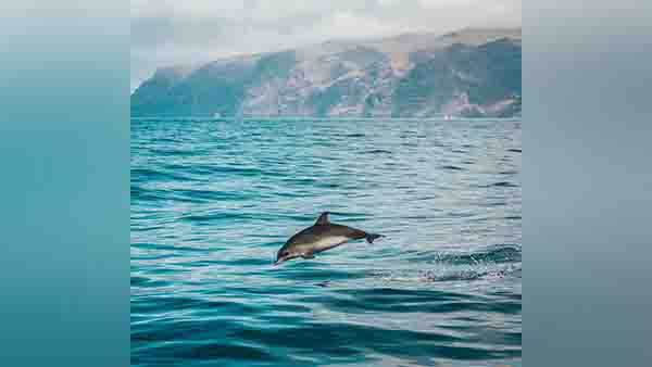 കുറച്ച് ബുദ്ധിമുട്ടുണ്ട്