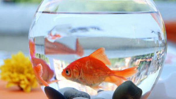 സര്‍റിയലായിട്ടുള്ള എക്‌സ്പീരിയന്‍സ്