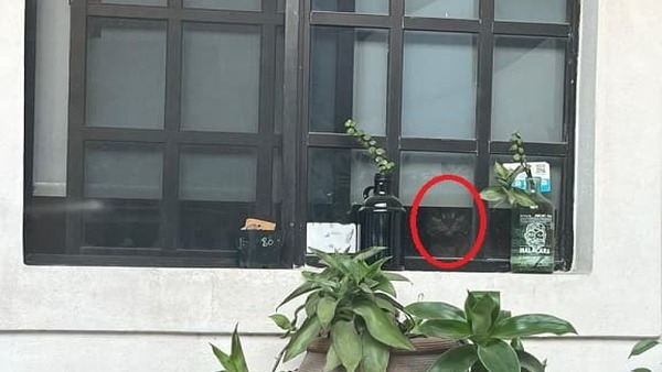 OPTICAL ILLUSION SOLVED OPTICAL ILLUSION SOLVED