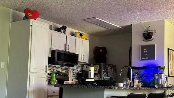 ഇത് ഇല്യൂഷന്റെ മായികലോകം