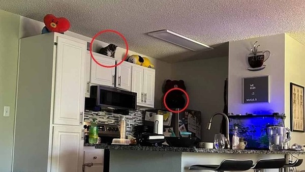 നിങ്ങളുടെ മുന്നില്‍ 10 സെക്കന്‍ഡുകളുണ്ട്