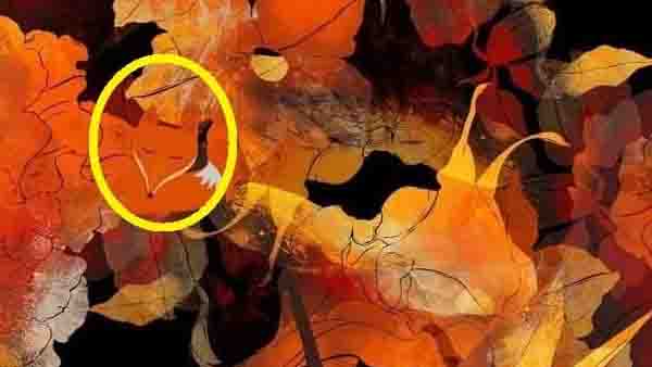 തോറ്റെങ്കില്‍ പോട്ടെ, സാരമില്ല