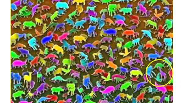 തോല്‍വി സമ്മതിച്ചോ