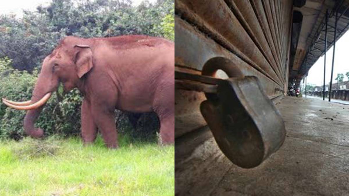 harthal-1680091527.jpg -Pr