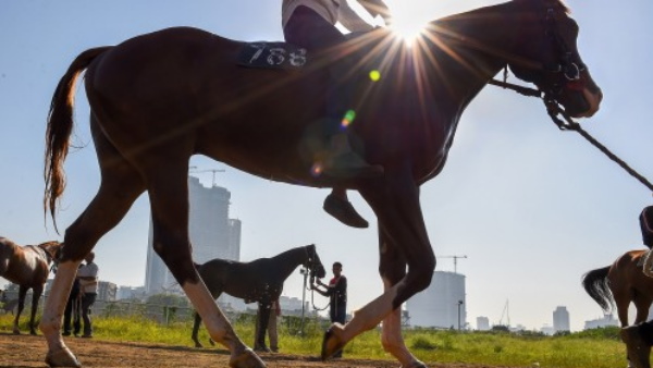 ജീനിയസാണെങ്കില്‍ ഒന്ന് തിരയൂ