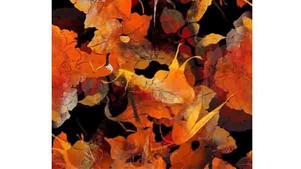 ഇത് അടിപൊളി ചിത്രം തന്നെ