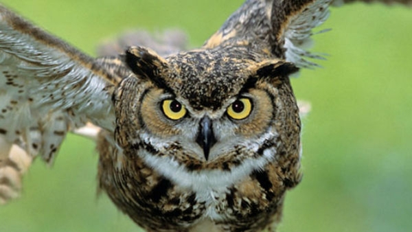 നിങ്ങളുടെ സ്‌കില്‍ പുറത്തെടുക്കൂ