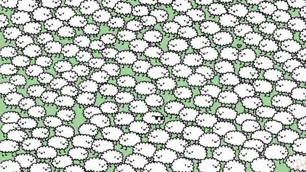 ജീനിയസാണെന്ന് തെളിയിക്ക്