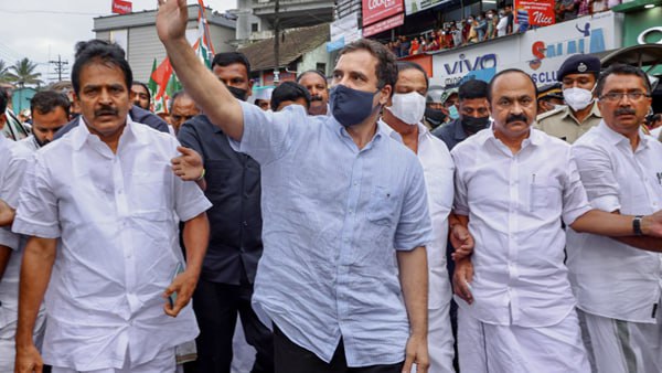 rahul gandhi wayanad rahul gandhi wayanad