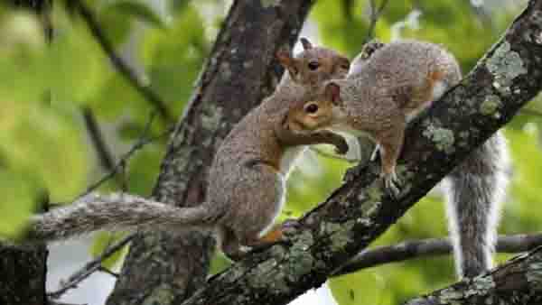 ഇതാ ചില സൂചനകള്‍