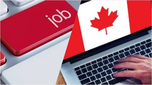 ആപ്ലിക്കേഷൻ പ്രോസസ്സിംഗ്, റിസ്ക് അസസ്മെന്റ്,