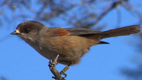 വേഗം തിരഞ്ഞ് തുടങ്ങിക്കോളൂ