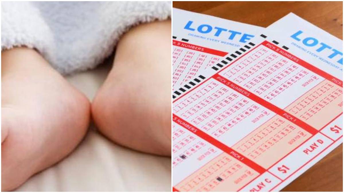 Lottery Lottery