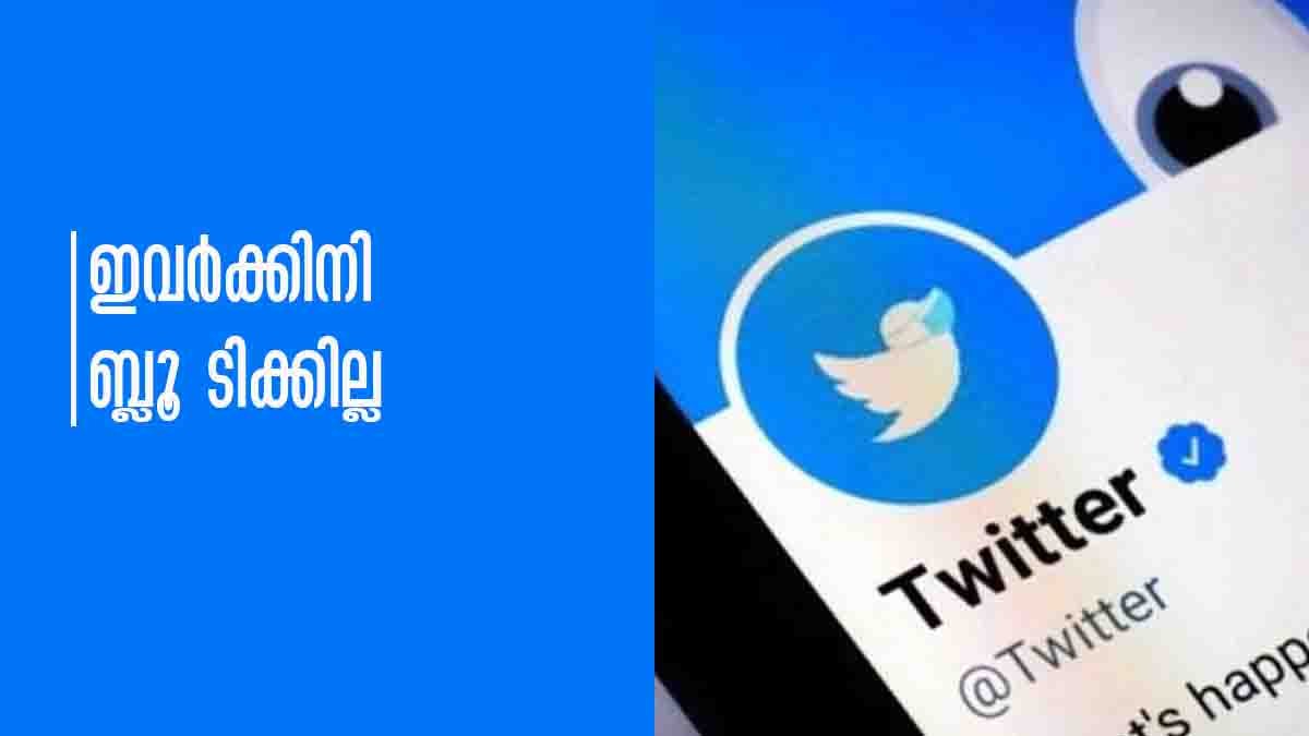 BLUE TICK BLUE TICK