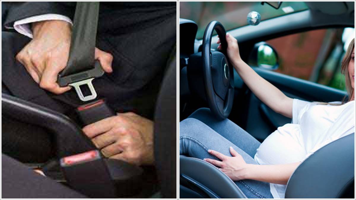 car seat belt car seat belt