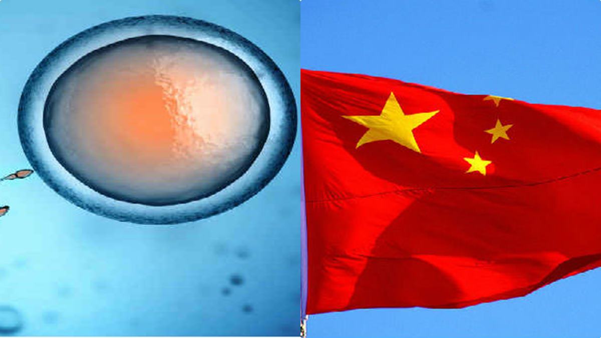 CHINA FERTILITY CHINA FERTILITY