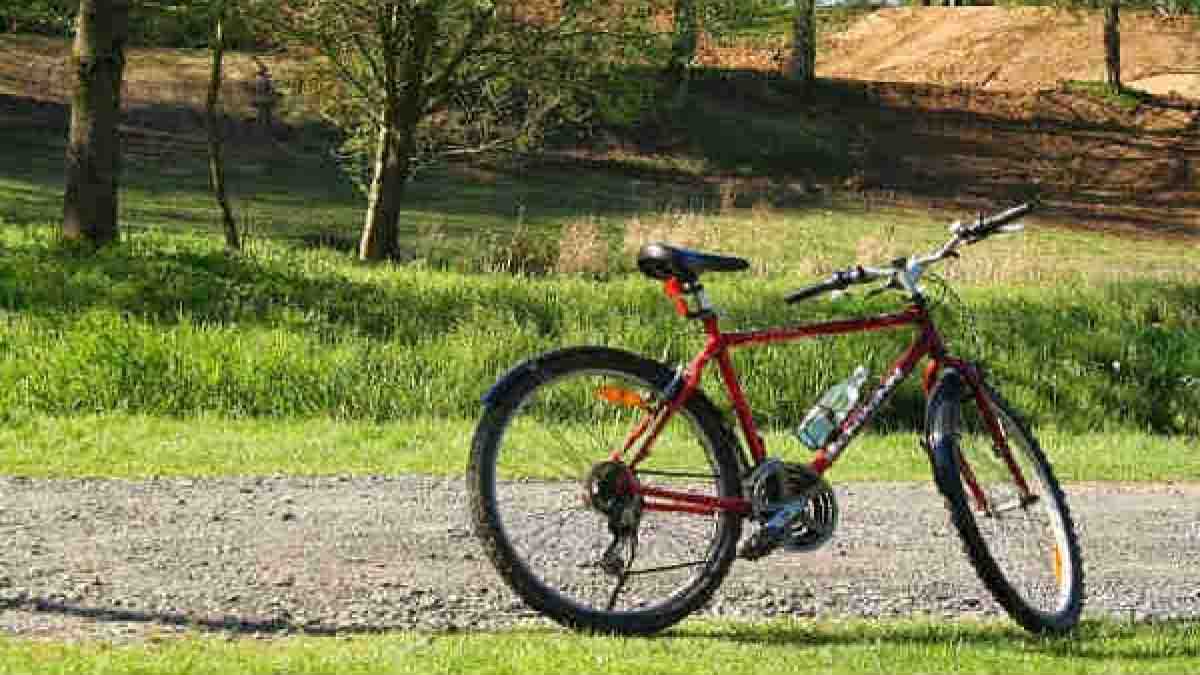 cycle cycle