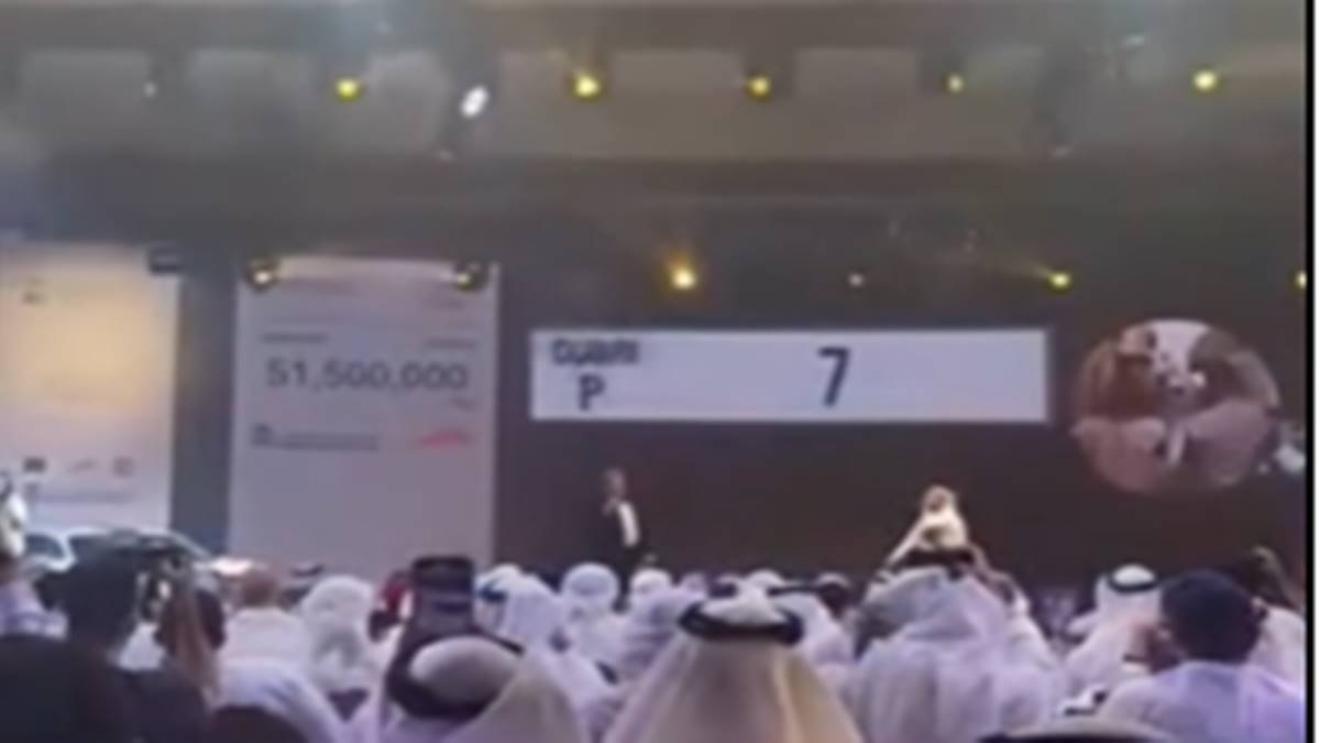 dubai number dubai number