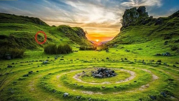 optical illusion answer