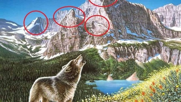 optical illusion solved