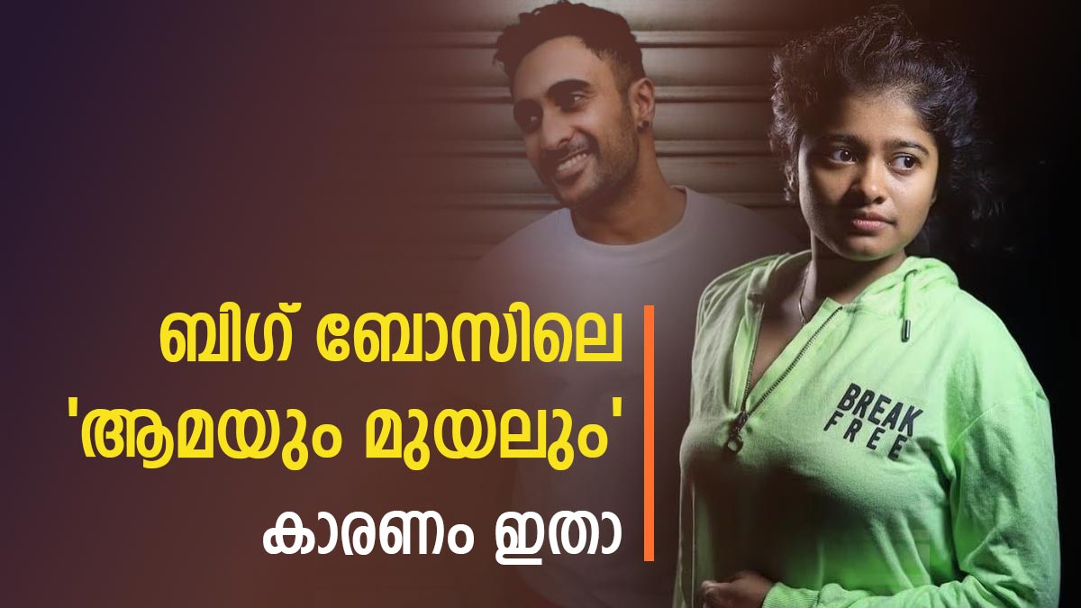 Bigg Boss Malayalam Season 5; Rinosh Is Tortoise, Hanan Rabbit, Morning ...