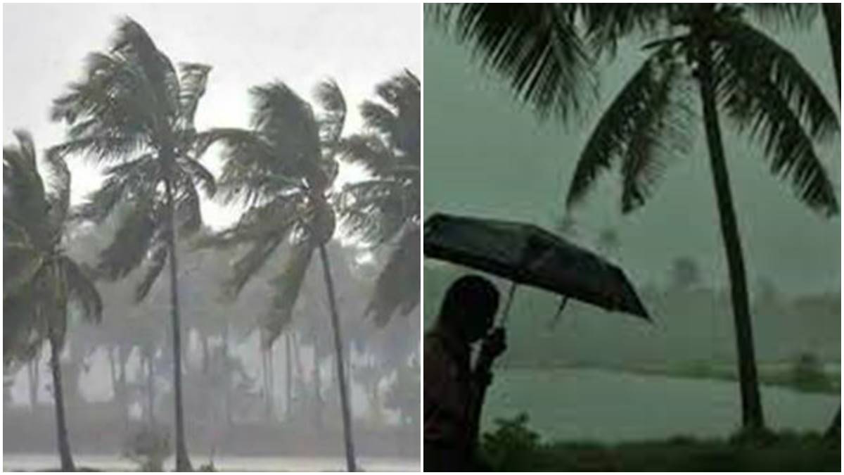 Rain31 Rain31