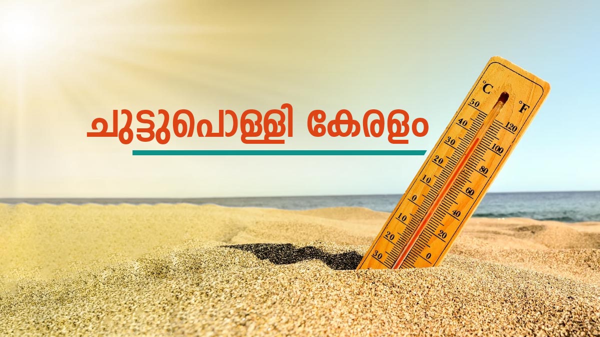 WEATHER WEATHER
