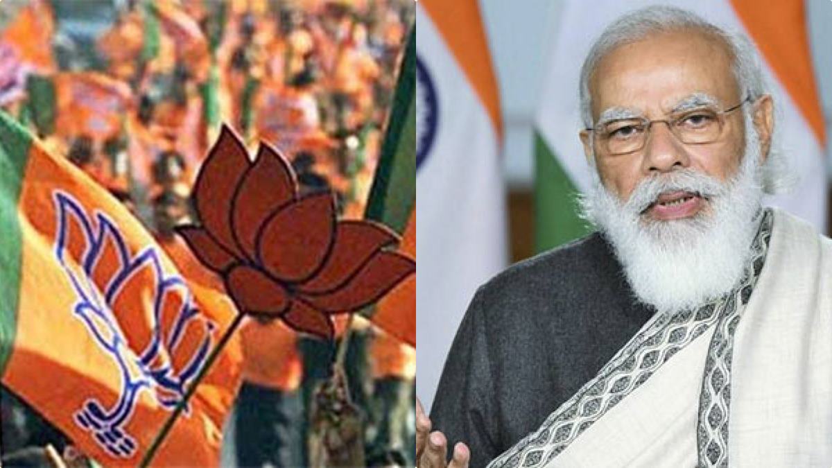 BJP NARENDRA MODI BJP NARENDRA MODI