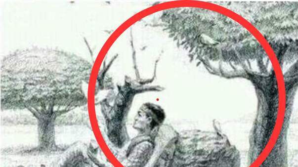 optical illusion answer